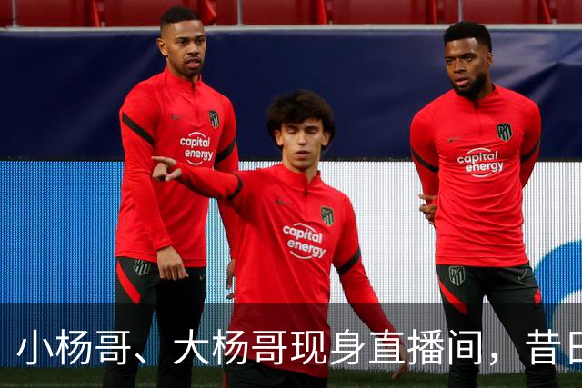 小杨哥、大杨哥现身直播间，昔日风光不再，在线人数仅寥寥数百人