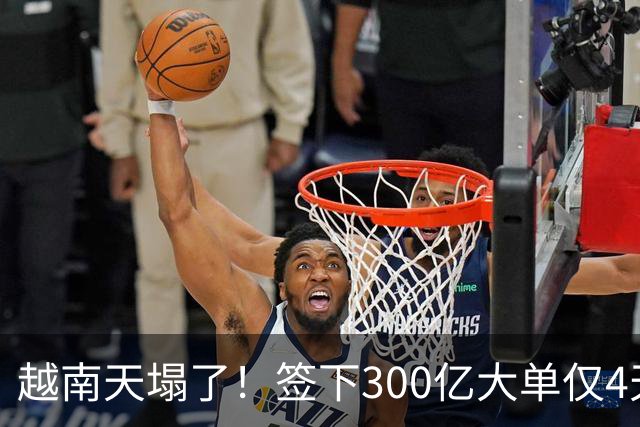 越南天塌了！签下300亿大单仅4天，中国新出一项公告，项目或流产