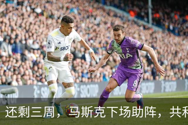 还剩三周，马斯克下场助阵，共和党将败北？特朗普承认一个事实